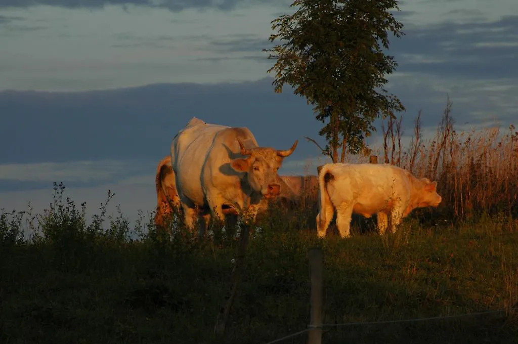 La Rose Des Vents Bed & Breakfast Les Vastres